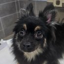 강릉시종합경기장 이미지