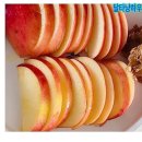 사과 사과샌드위치 다이어트 샌드위치 만들기 맛있는 사과 추천 사과요리 레시피 w비봉농장 청송꿀사과