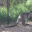 동물원야식 이미지