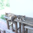 (주)이룬