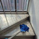 크린프랜드 이미지