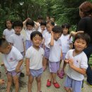 평리유치원 이미지