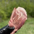 JC농장 | 제주돼지 숄더랙으로 즐기는 캠핑 바베큐 추천 몬트락몰