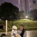 하버스케이트보드