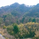 서짓골(2013년) 이미지