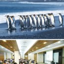 한국3M연구소 2 이미지