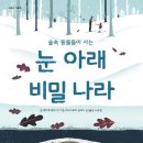 붕붕나라