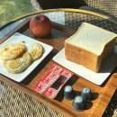 로아펜션 | [포천] 펜션 미호글램핑 내돈내산 후기