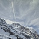 만년설우 이미지