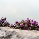 문산1리 이미지