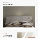 스칸디아 이미지