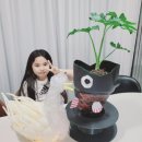 키즈 아티스트 이미지