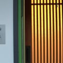 스테이치목 이미지