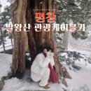 대인카프라자 | 평창 가볼만한곳 발왕산케이블카 할인 시간 CCTV 확인방법 겨울 방문후기