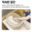 명품켄넬 | 반려모 카시트 vs 백팩형 이동장 니코백 하나로 해결하는 법