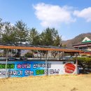 부흥횟집 이미지