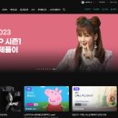 그로우 라이브커머스 강의 후기