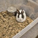 (주)대진물산(2공장) | 다 생략한 9월~