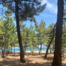 바다사랑투 이미지