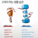 습관 퍼스널 트레이닝 이미지