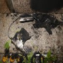 인천시청역(1호선) 이미지