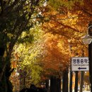 영통초등학교 이미지