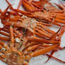 윌횟집 | [강릉 횟집] 강릉 홍게 무한리필 윌횟집 방문후기