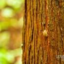 화인목욕탕 이미지