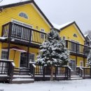 허니베어펜션 이미지