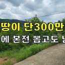 분명한 것은 3년안에 본전 뽑고도 남는 땅입니다~단돈300만원[땅지통] 이미지