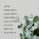 선물같은 하루 이미지