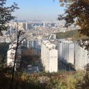 컨템포 프로젝트