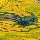 군산시니어클럽 이미지