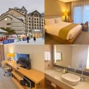 블루오션리조트홀리데이파크 | 평창 가족여행 추천 숙소! 알펜시아 홀리데이 인 리조트 슈페리어 트윈 후기 (+ 슬라이딩파크 정보)