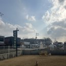 행복하게 해줄개 이미지