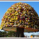 꿈에궁전 이미지