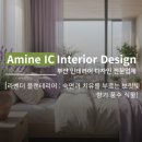 숙면을 부르는 허브이야기 | 라벤더 플랜테리어 : 숙면과 치유를 부르는 보랏빛 향기 풍수 식물