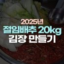북광주농협노동조합 | 절임배추 20kg 김장 레시피 설탕 없이 배 양파로 4시간 완성
