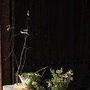 사각하늘 이미지