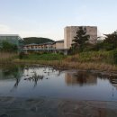 타미우스빌리지 이미지