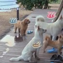 산책민박 이미지