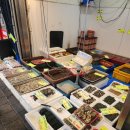 원더풀꽈배기 이미지