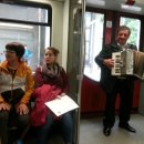 월출목장 이미지