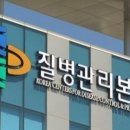 건강체조 이미지