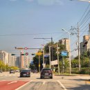 윤농원 | [2025.09.26] 양주 나리농원 천일홍 축제 🌺