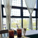 히포파통 이미지