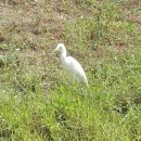 상순목장 이미지