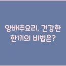 건강한 한끼 요리 이미지