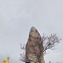 구례-05호 네이버블로그