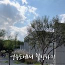 다빌리온 이미지